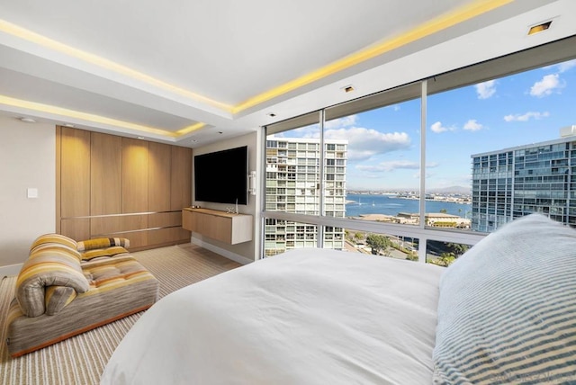 bedroom featuring light colored carpet and a raised ceiling