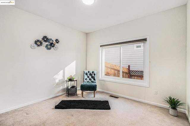 living area featuring carpet