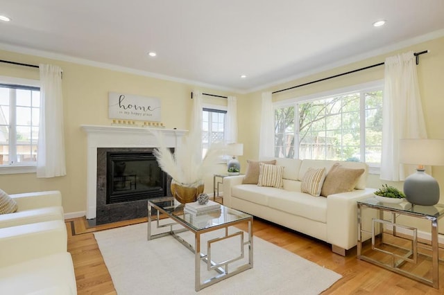 living room with crown molding, light hardwood / wood-style flooring, and a premium fireplace