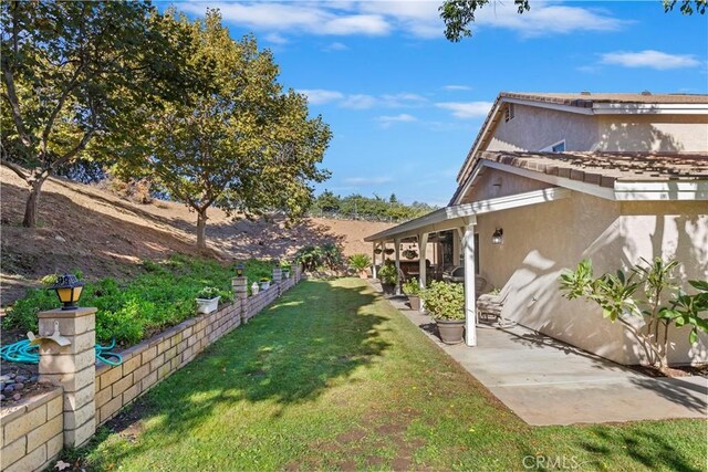 view of yard featuring a patio