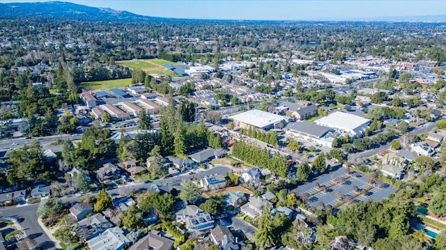 drone / aerial view featuring a mountain view