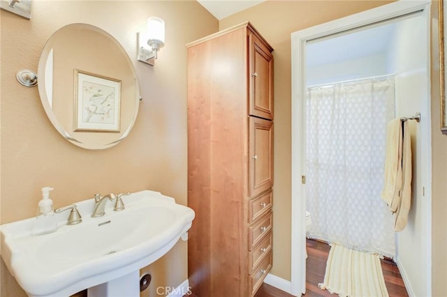 bathroom with sink and hardwood / wood-style flooring