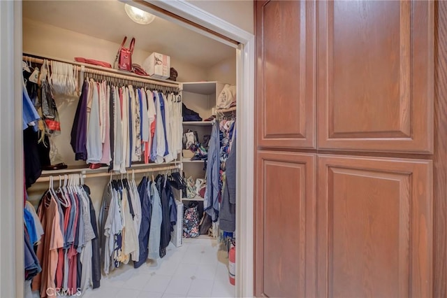 view of spacious closet