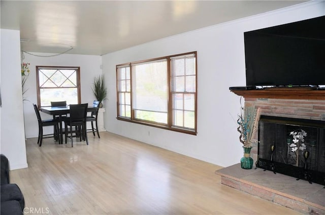 dining room with a stone fireplace and light hardwood / wood-style flooring