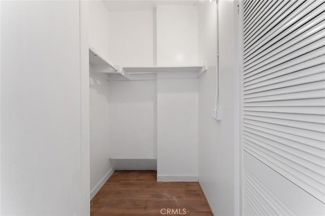 spacious closet featuring dark hardwood / wood-style flooring