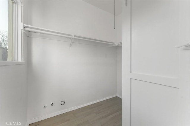 walk in closet featuring wood-type flooring