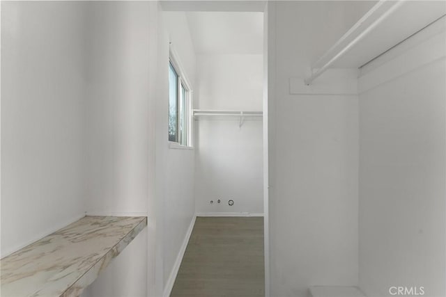 spacious closet with wood-type flooring