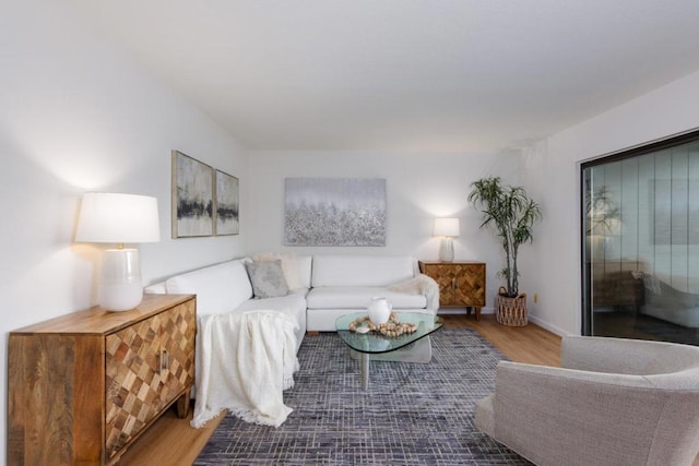 living room with wood-type flooring