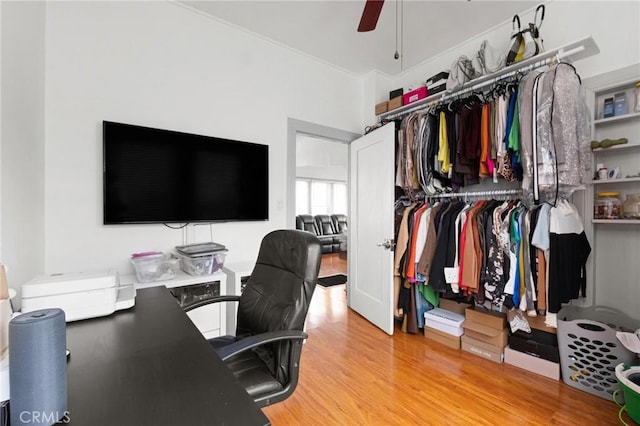 office space with hardwood / wood-style floors and ceiling fan