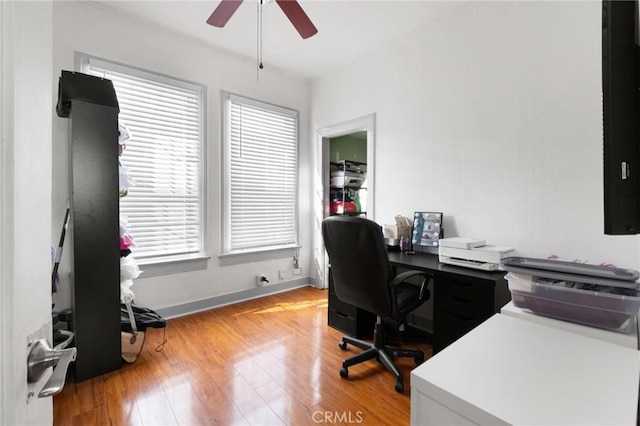 office area featuring ceiling fan and light wood-type flooring