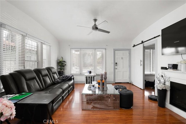 living room with ceiling fan, a barn door, hardwood / wood-style floors, and a wealth of natural light