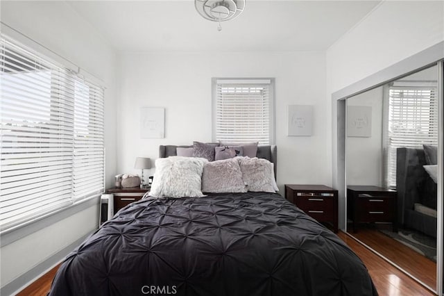 bedroom with dark hardwood / wood-style flooring