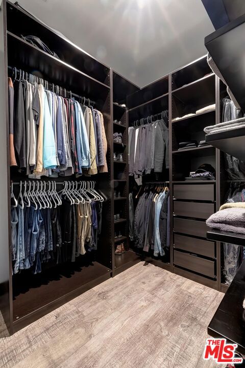 spacious closet with hardwood / wood-style flooring