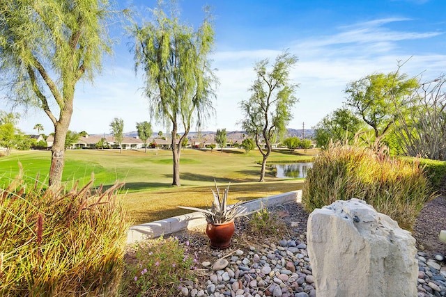 surrounding community with a water view and a lawn