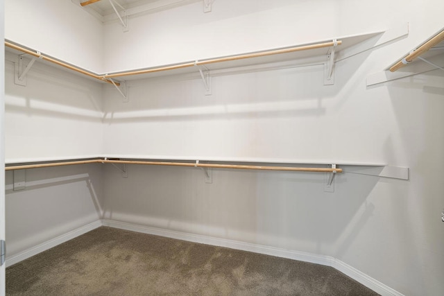 walk in closet with dark carpet