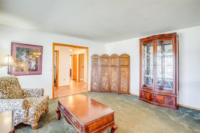 carpeted living room with a textured ceiling