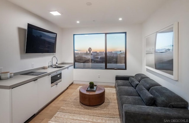 interior space with white cabinetry, sink, and light hardwood / wood-style floors