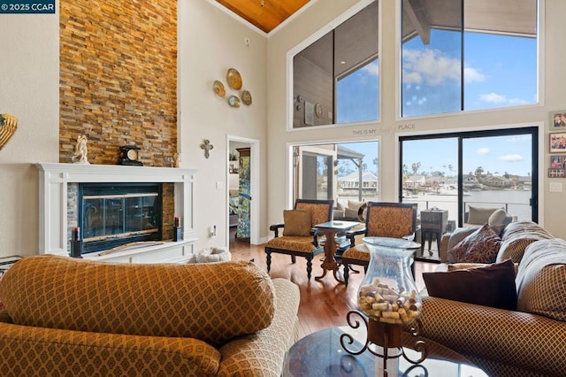 living room featuring hardwood / wood-style flooring and a towering ceiling