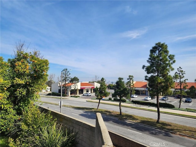 view of road with curbs and street lighting