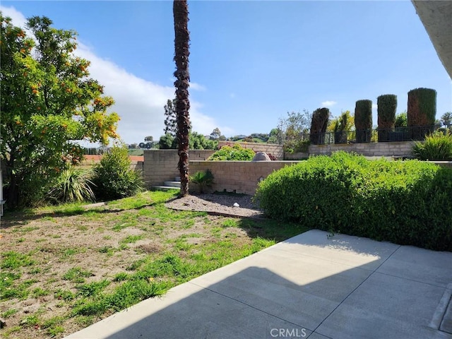 view of yard with a patio and a fenced backyard