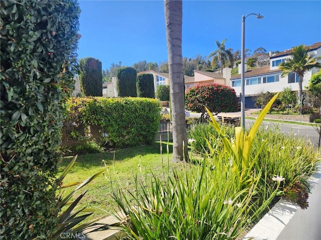 view of home's community with a lawn