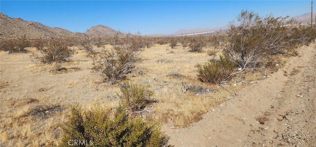 9966 Trade Post Rd, Lucerne Valley CA, 92356 land for sale