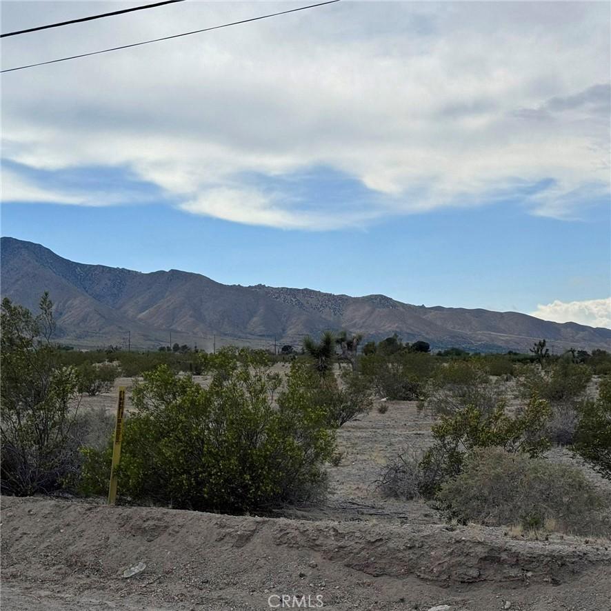 9966 Trade Post Rd, Lucerne Valley, CA 92356