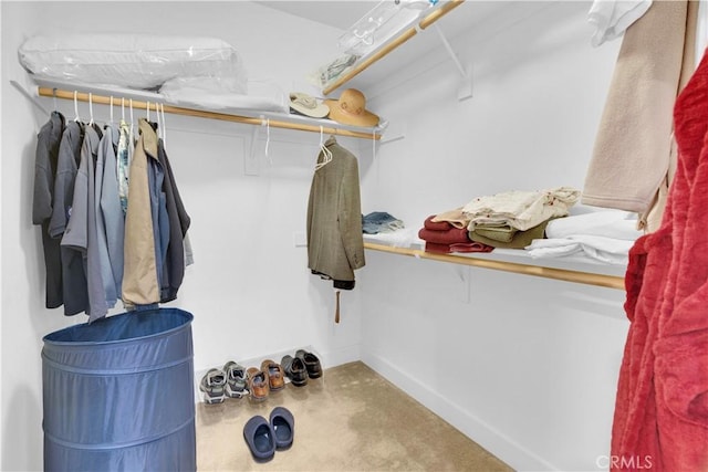4653 Tumbleweed Way, Paso Robles, CA 93446 - view of spacious closet