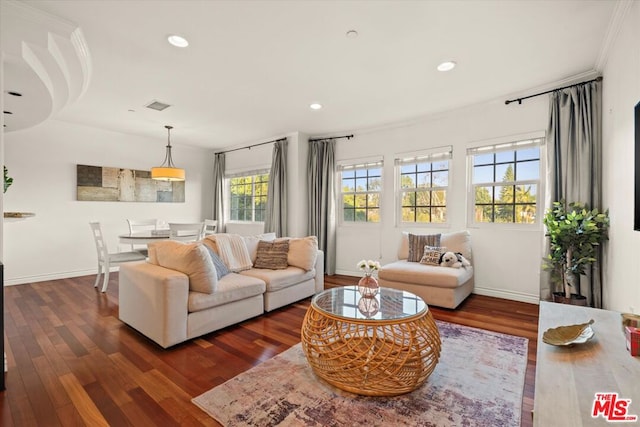 living room with dark hardwood / wood-style flooring