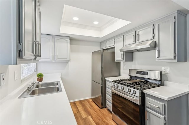 kitchen with appliances with stainless steel finishes, sink, ornamental molding, a raised ceiling, and light wood-type flooring