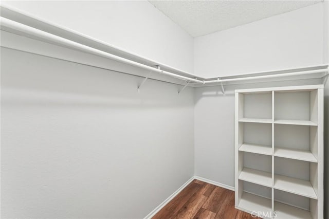 walk in closet with dark hardwood / wood-style floors