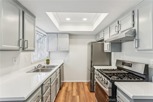 kitchen with ornamental molding, appliances with stainless steel finishes, a tray ceiling, and sink