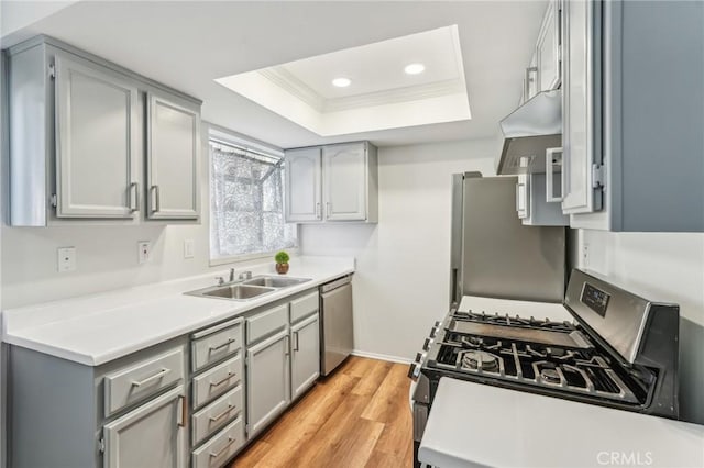 kitchen featuring sink, light wood-type flooring, ornamental molding, appliances with stainless steel finishes, and a raised ceiling