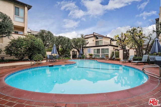 view of swimming pool with a patio