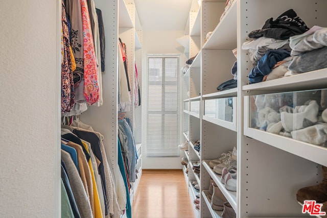 walk in closet with light wood-type flooring