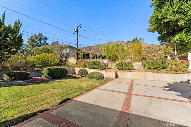 view of yard featuring a patio