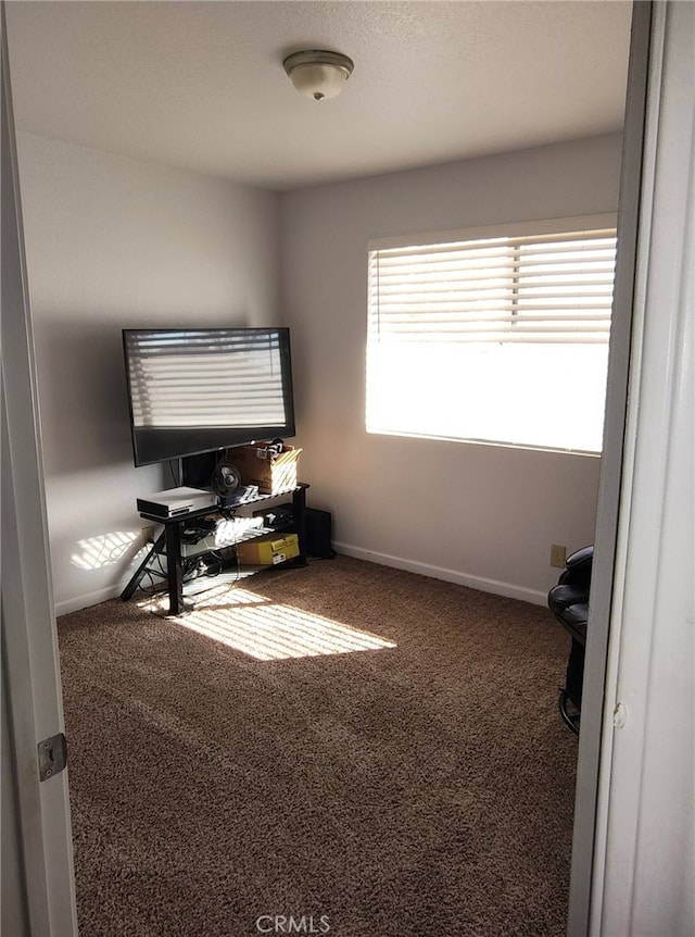 office with carpet and baseboards