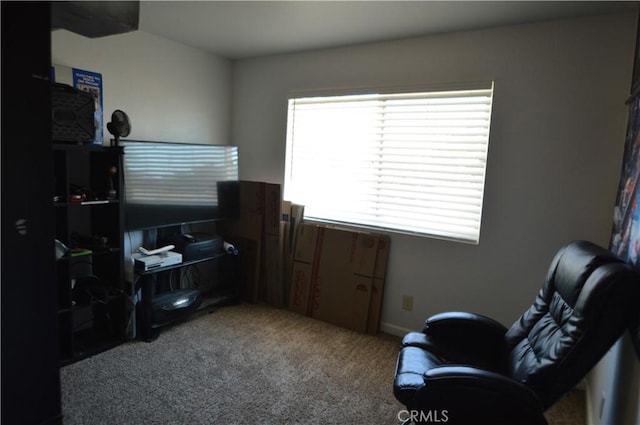 sitting room featuring carpet flooring