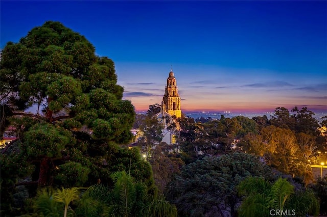 view of nature at dusk