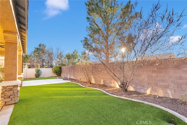 view of yard with a patio