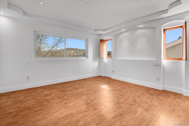 unfurnished room with wood-type flooring and a tray ceiling