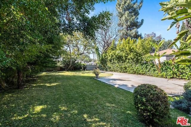 view of yard with a patio area