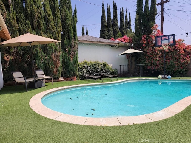 view of swimming pool with a lawn