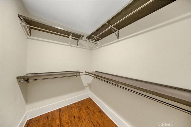 walk in closet with dark wood-type flooring