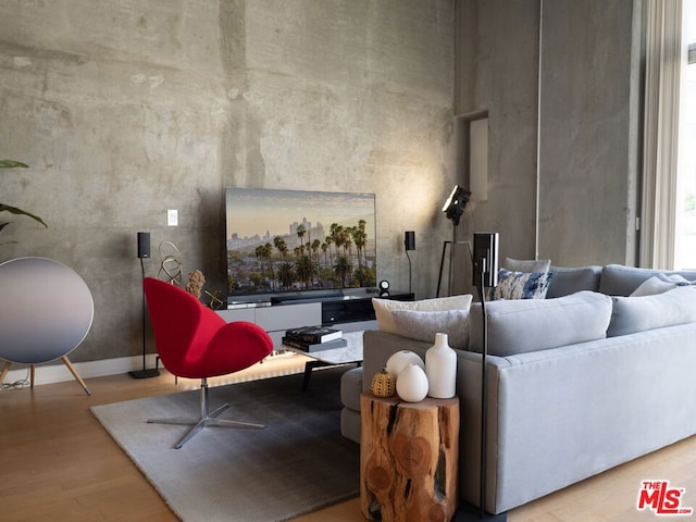 living room with light hardwood / wood-style flooring