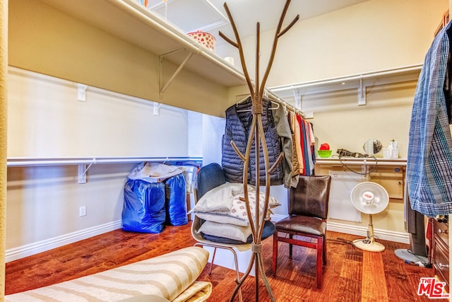 walk in closet featuring hardwood / wood-style floors