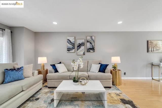 living room featuring light hardwood / wood-style floors