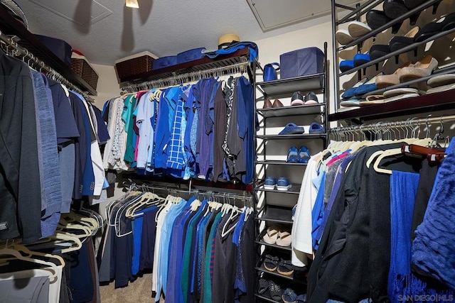 spacious closet featuring carpet