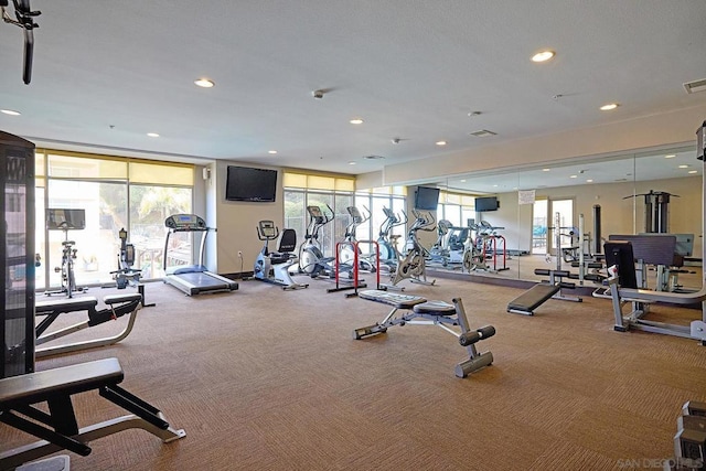 gym featuring expansive windows and carpet