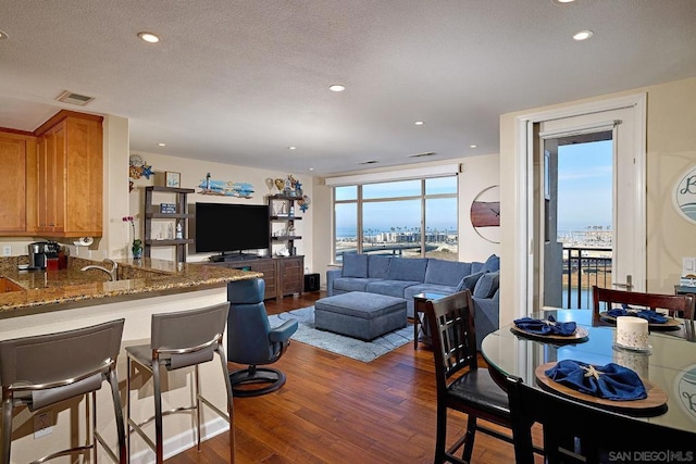 living room with a textured ceiling, dark hardwood / wood-style floors, and a healthy amount of sunlight